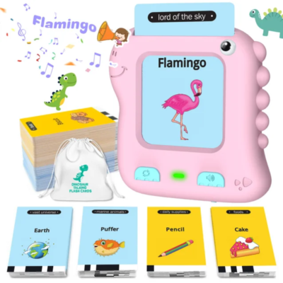 Flash Cards Learning Toys for 2 3 4 5 6 Years Old Boys Girls